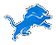Detroit Lions